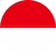 Flag icon